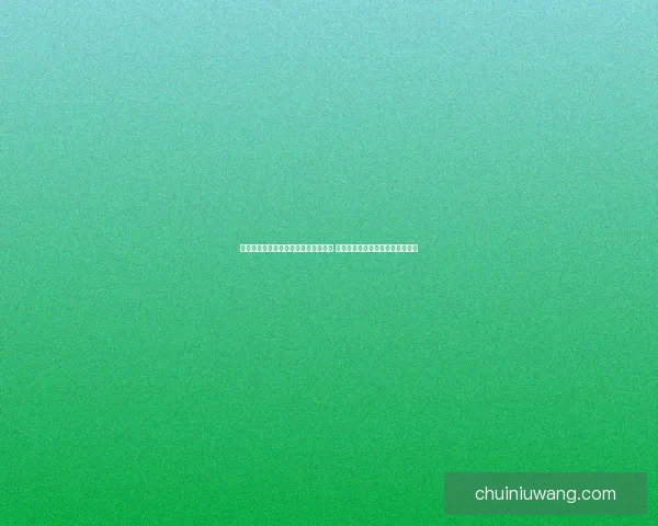 探秘摩托拉力赛的极限挑战与激情碰撞 解锁世界级赛事背后的技术与勇气